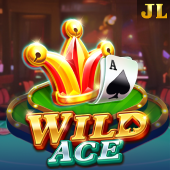 Wild Ace - patokbet slot game